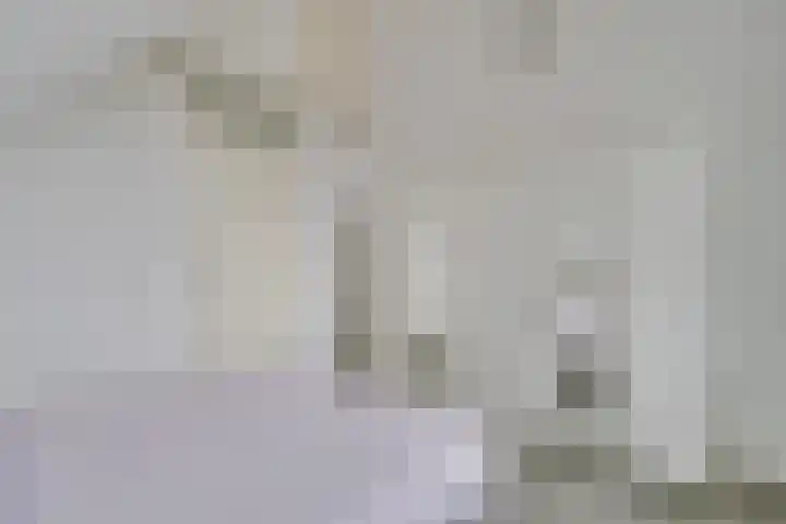 Melisse 18 Heerhugowaard thumbnail 15