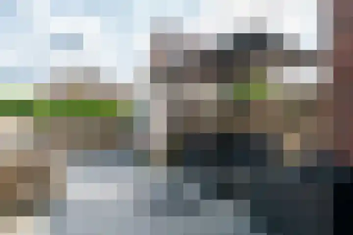 Melisse 18 Heerhugowaard thumbnail 24
