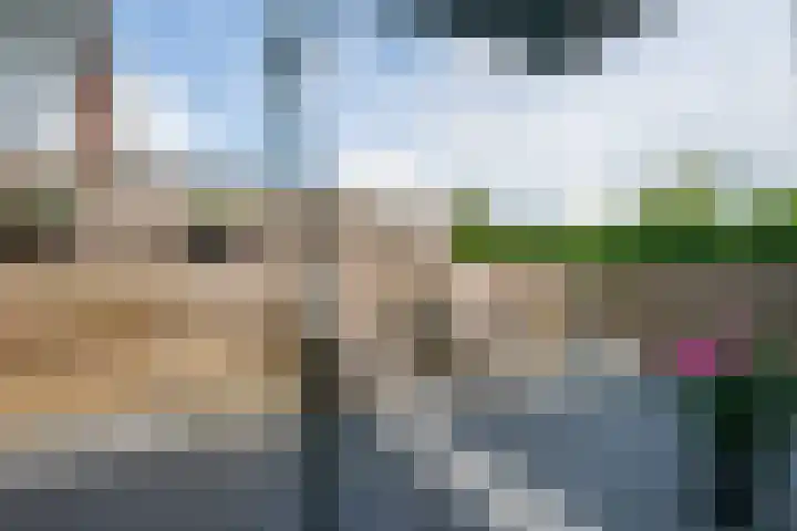 Melisse 18 Heerhugowaard thumbnail 28