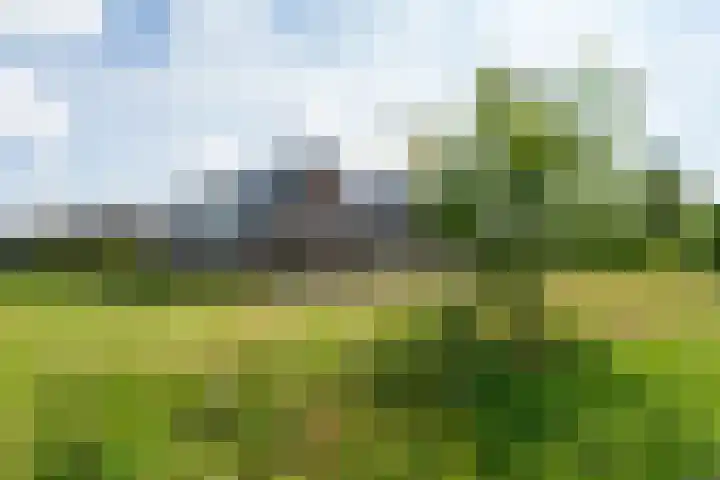 Melisse 18 Heerhugowaard thumbnail 31