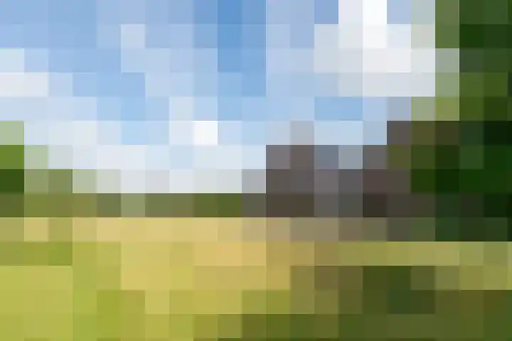 Melisse 18 Heerhugowaard thumbnail 32