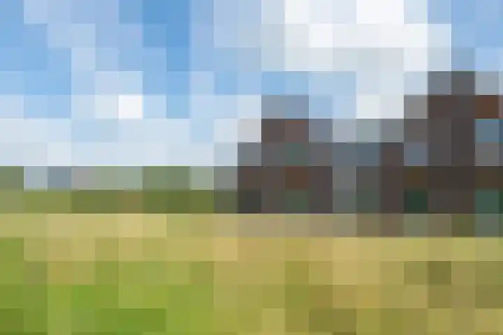 Melisse 18 Heerhugowaard thumbnail 33