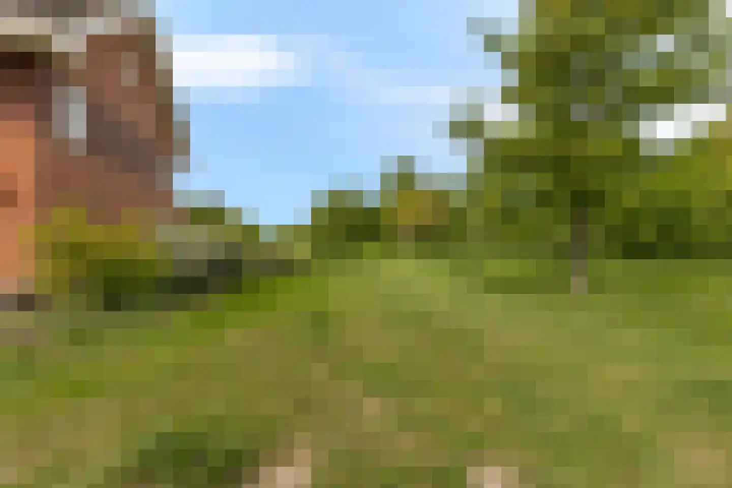 Melisse 25 Heerhugowaard thumbnail 43