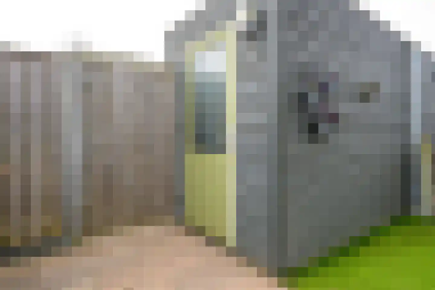 Melisse 27 Heerhugowaard thumbnail 11