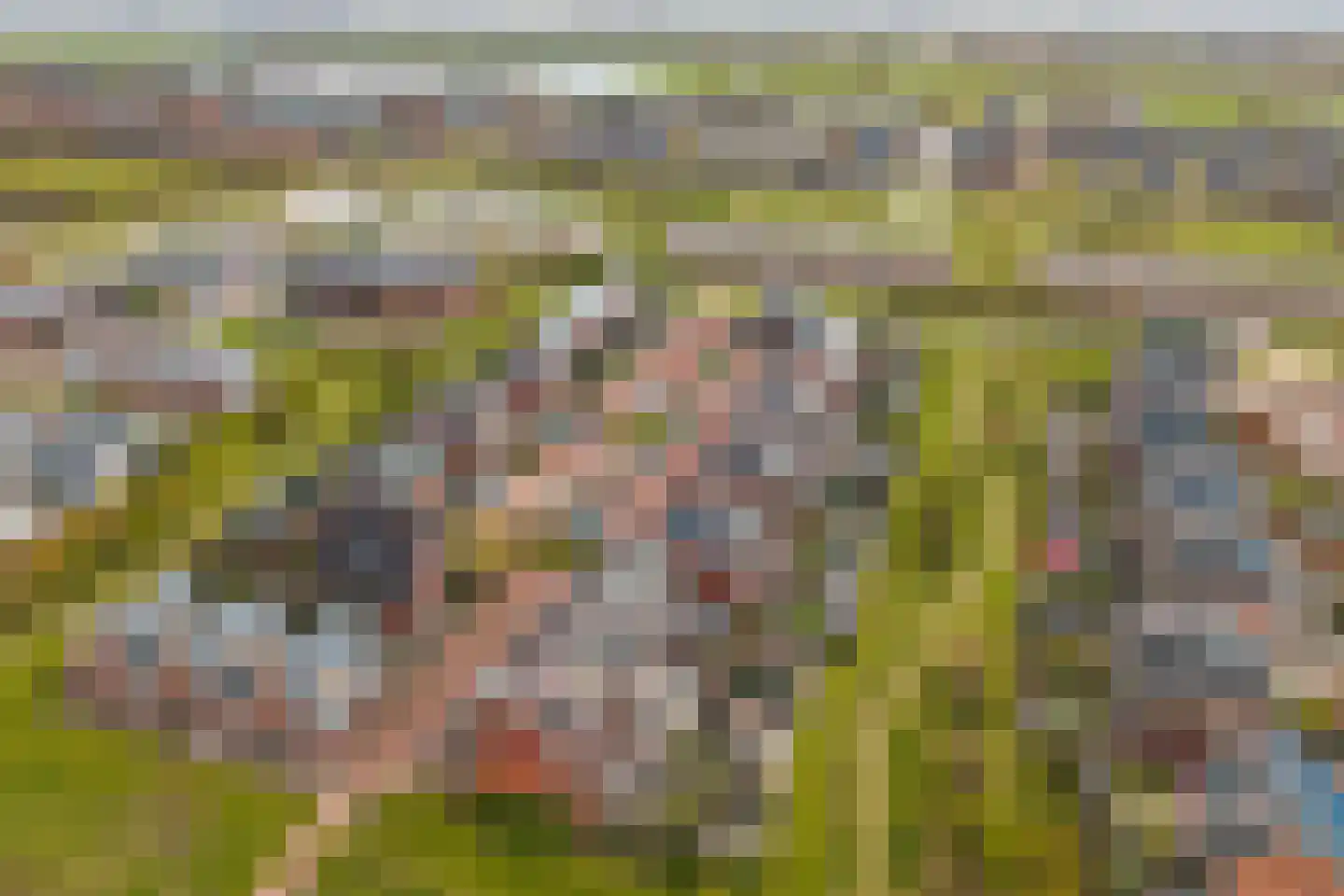 Melisse 27 Heerhugowaard thumbnail 43
