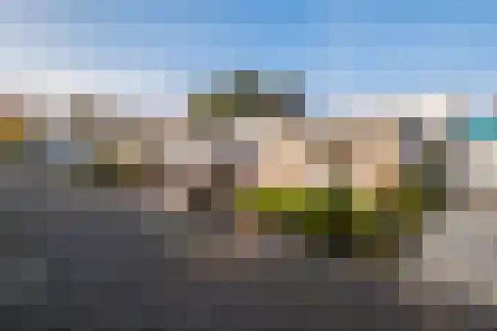 Melisse 28 Dronten thumbnail 19