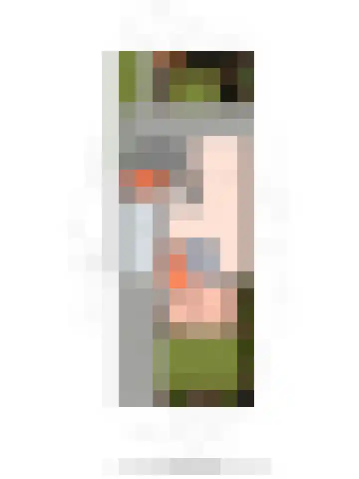 Melisse 28 Dronten thumbnail 21