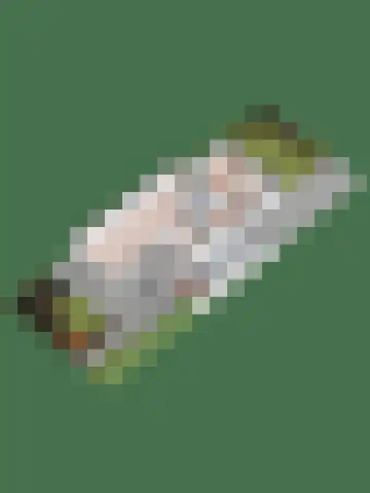 Melisse 28 Dronten thumbnail 23