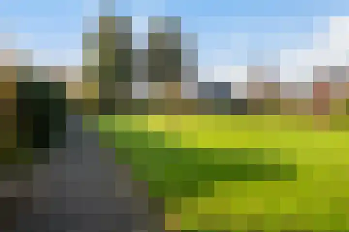 Melisse 28 Dronten thumbnail 4