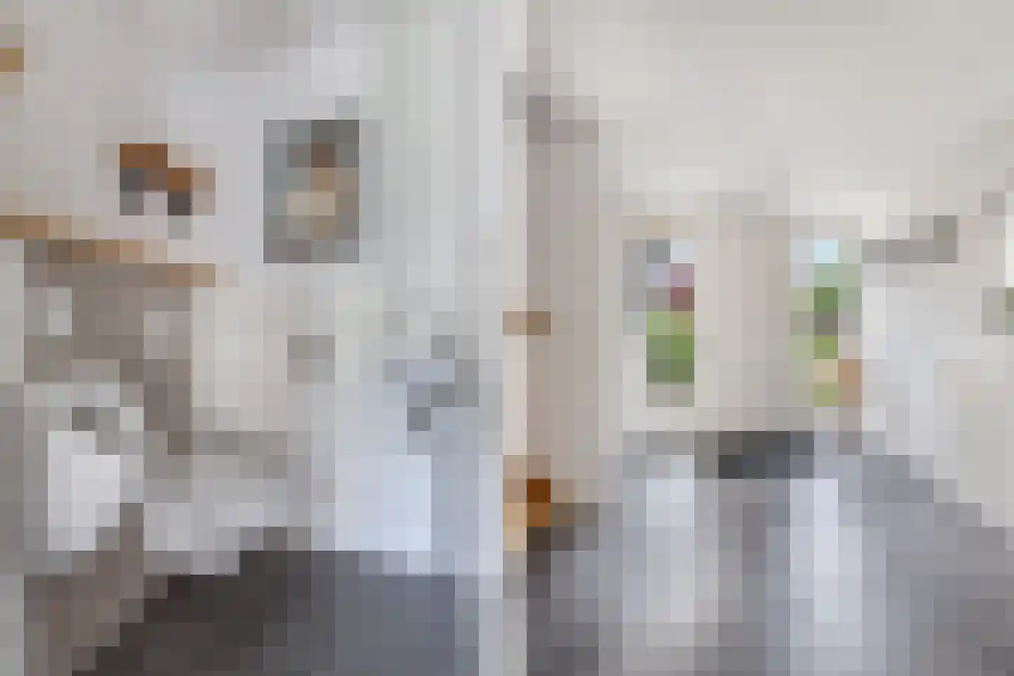Melisse 29 Rutten thumbnail 11