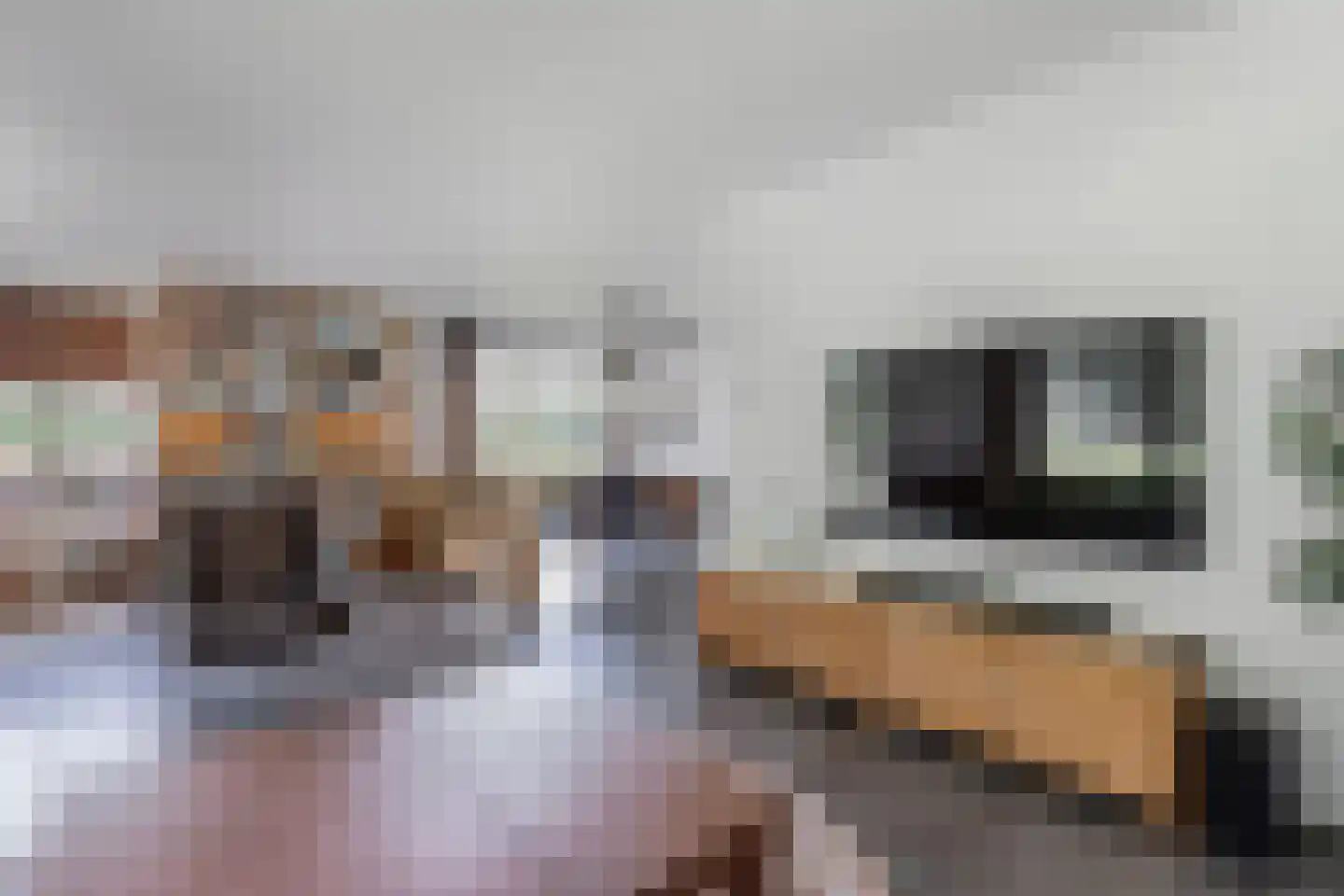 Melisse 29 Rutten thumbnail 16