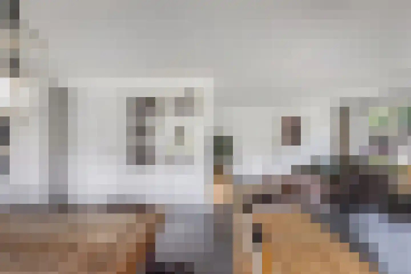 Melisse 29 Rutten thumbnail 19
