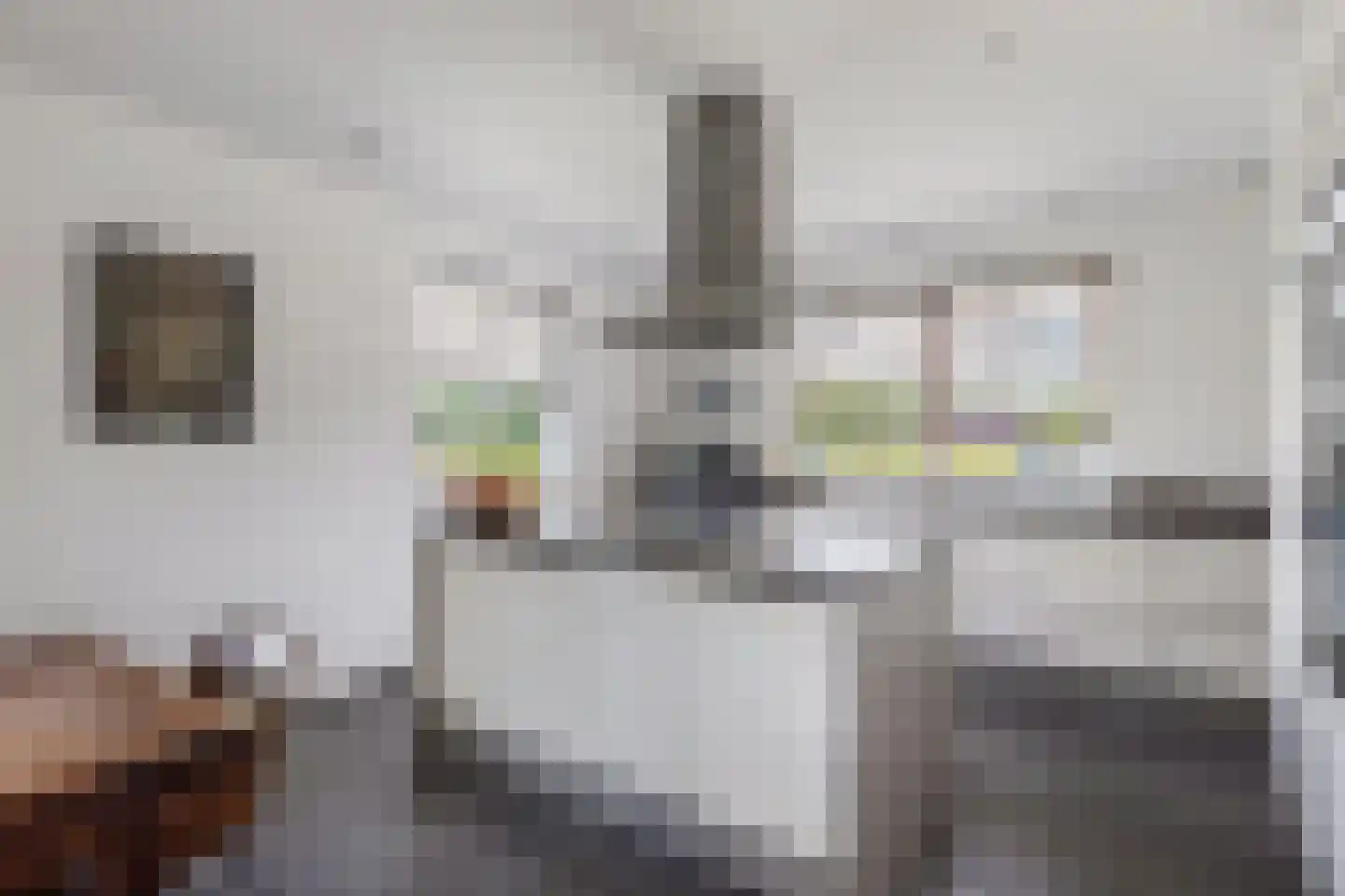 Melisse 29 Rutten thumbnail 20