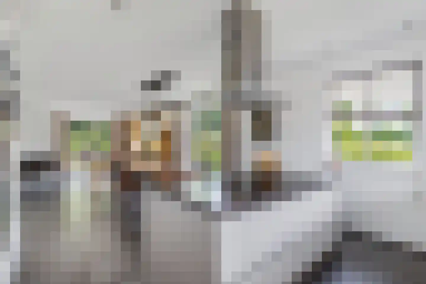 Melisse 29 Rutten thumbnail 22