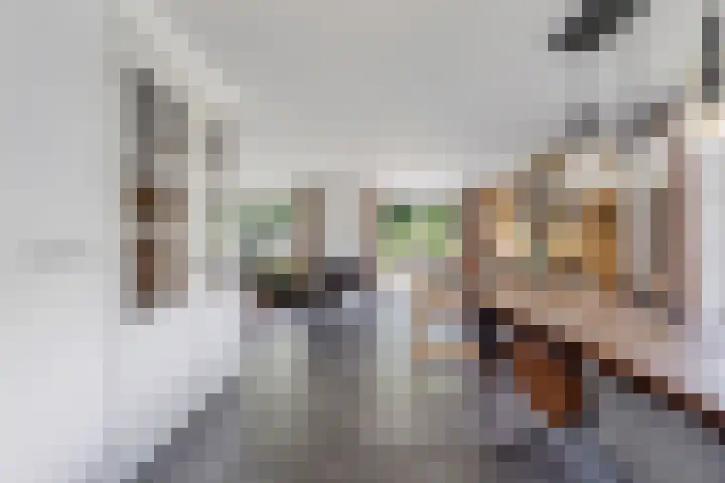 Melisse 29 Rutten thumbnail 23