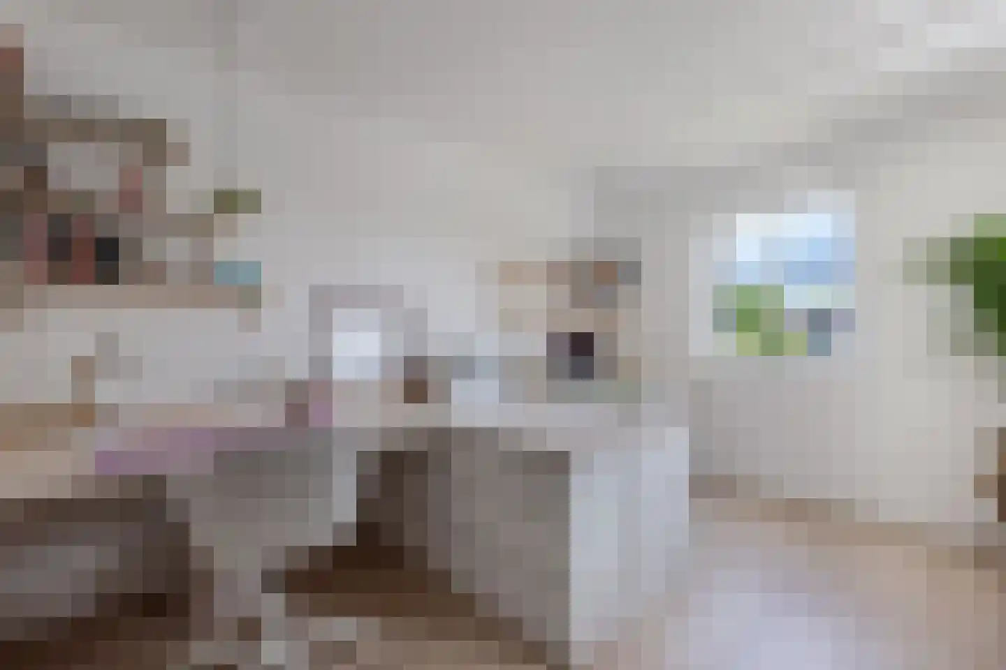 Melisse 29 Rutten thumbnail 24
