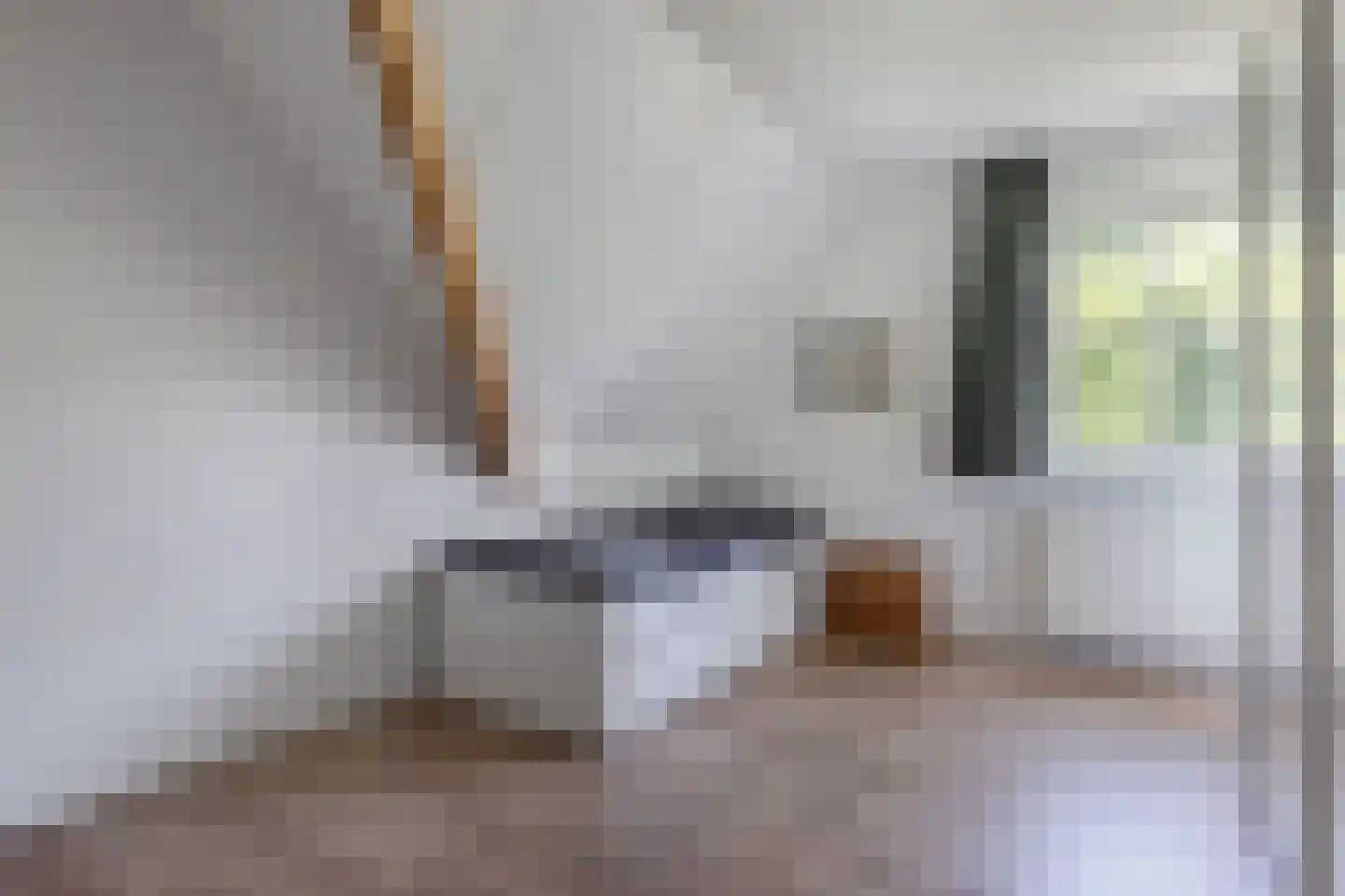 Melisse 29 Rutten thumbnail 29
