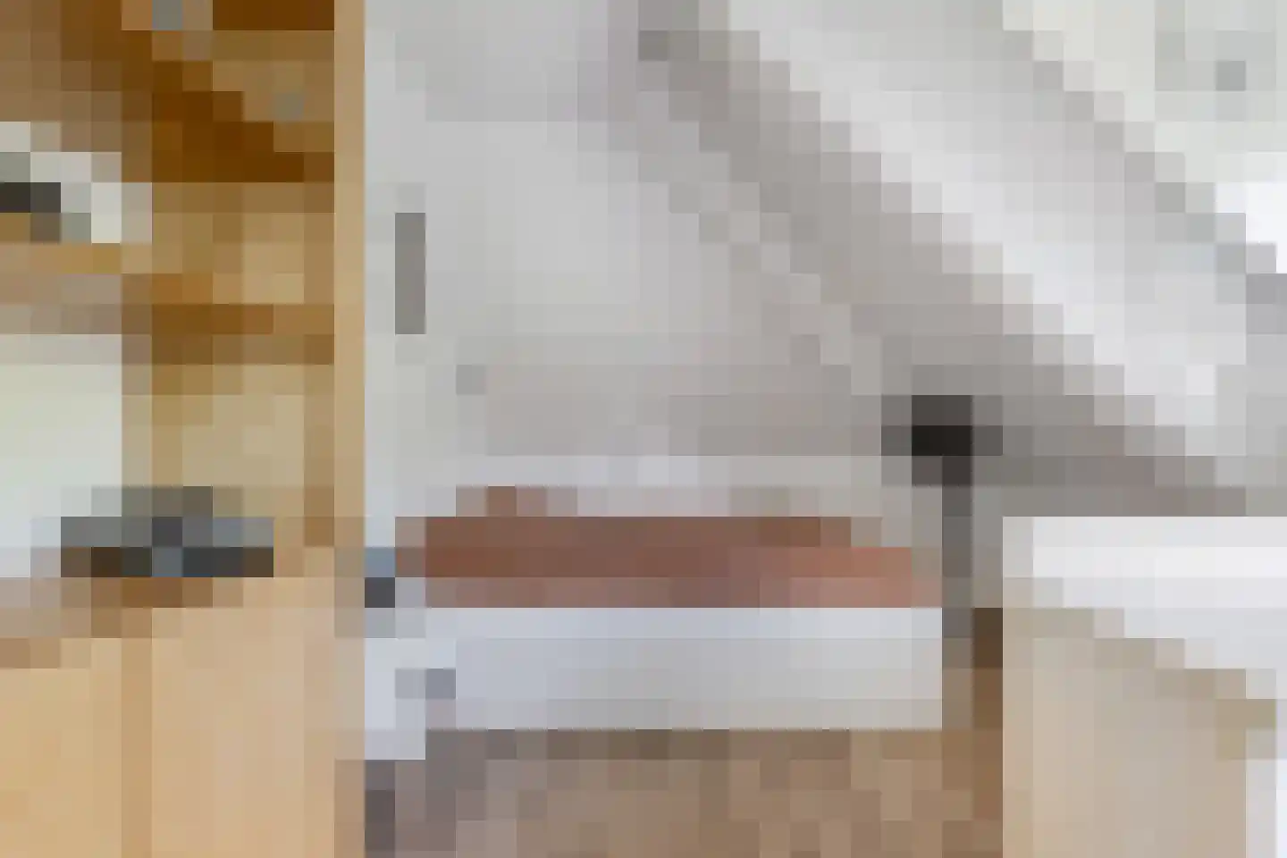 Melisse 29 Rutten thumbnail 36