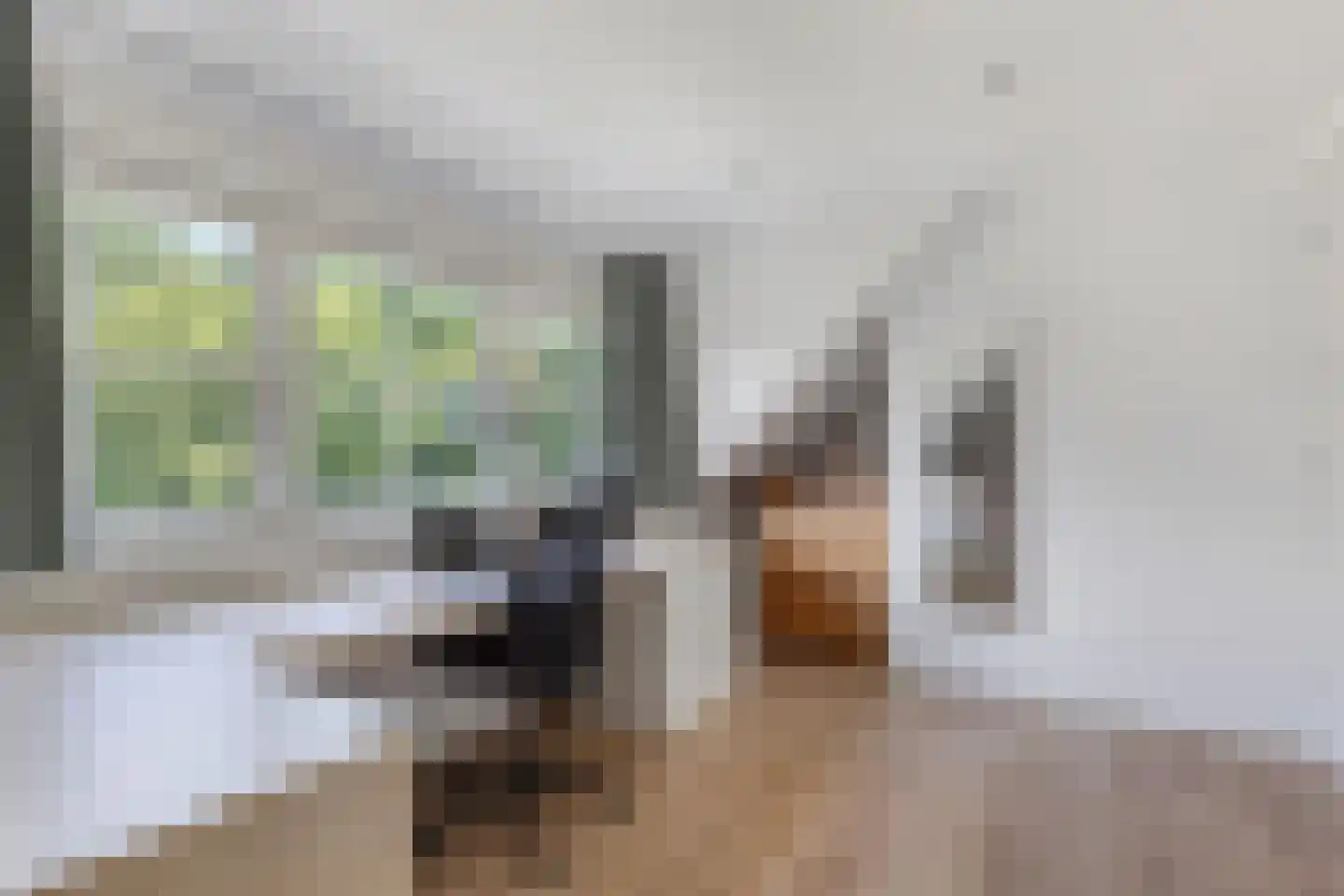 Melisse 29 Rutten thumbnail 37