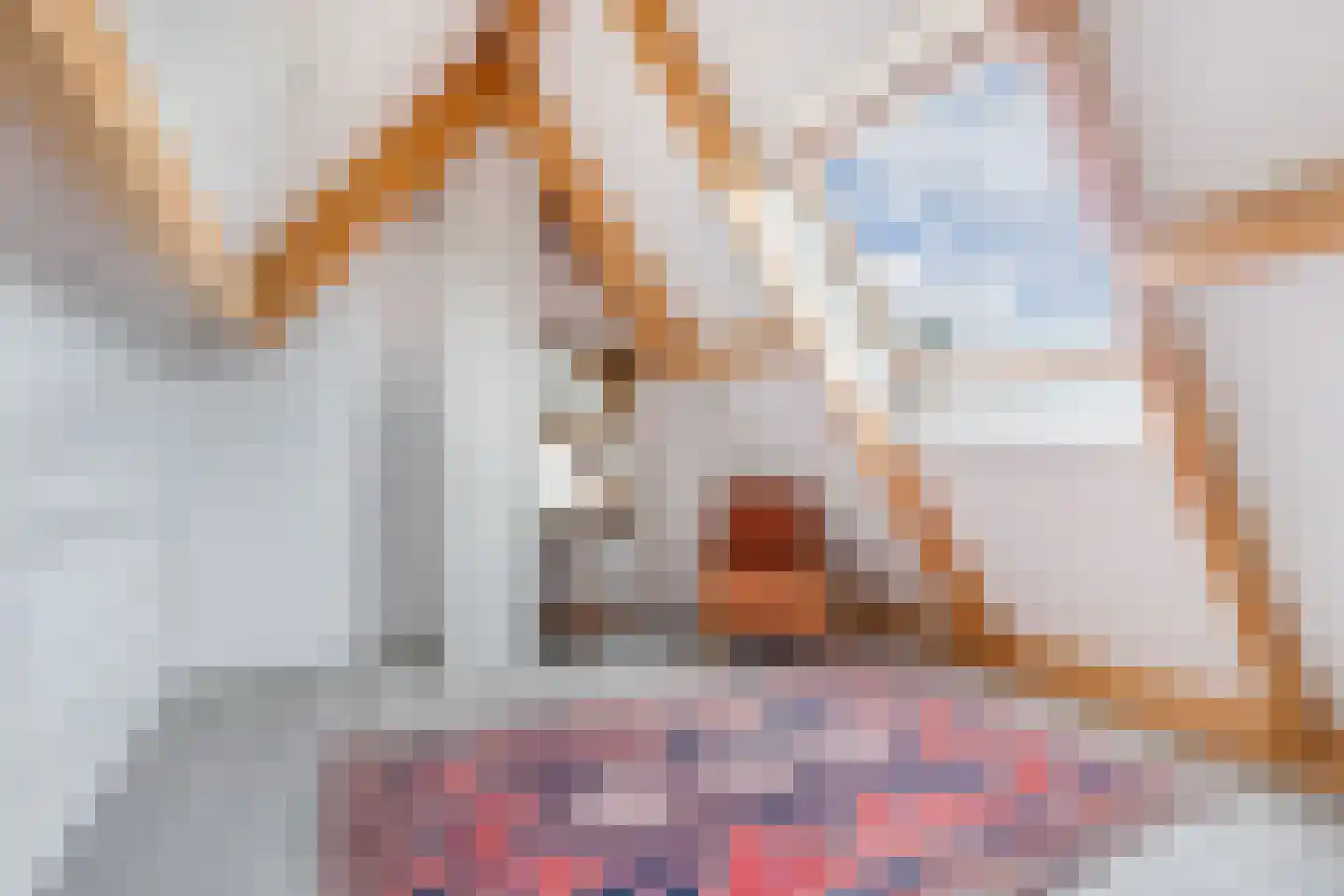 Melisse 29 Rutten thumbnail 47