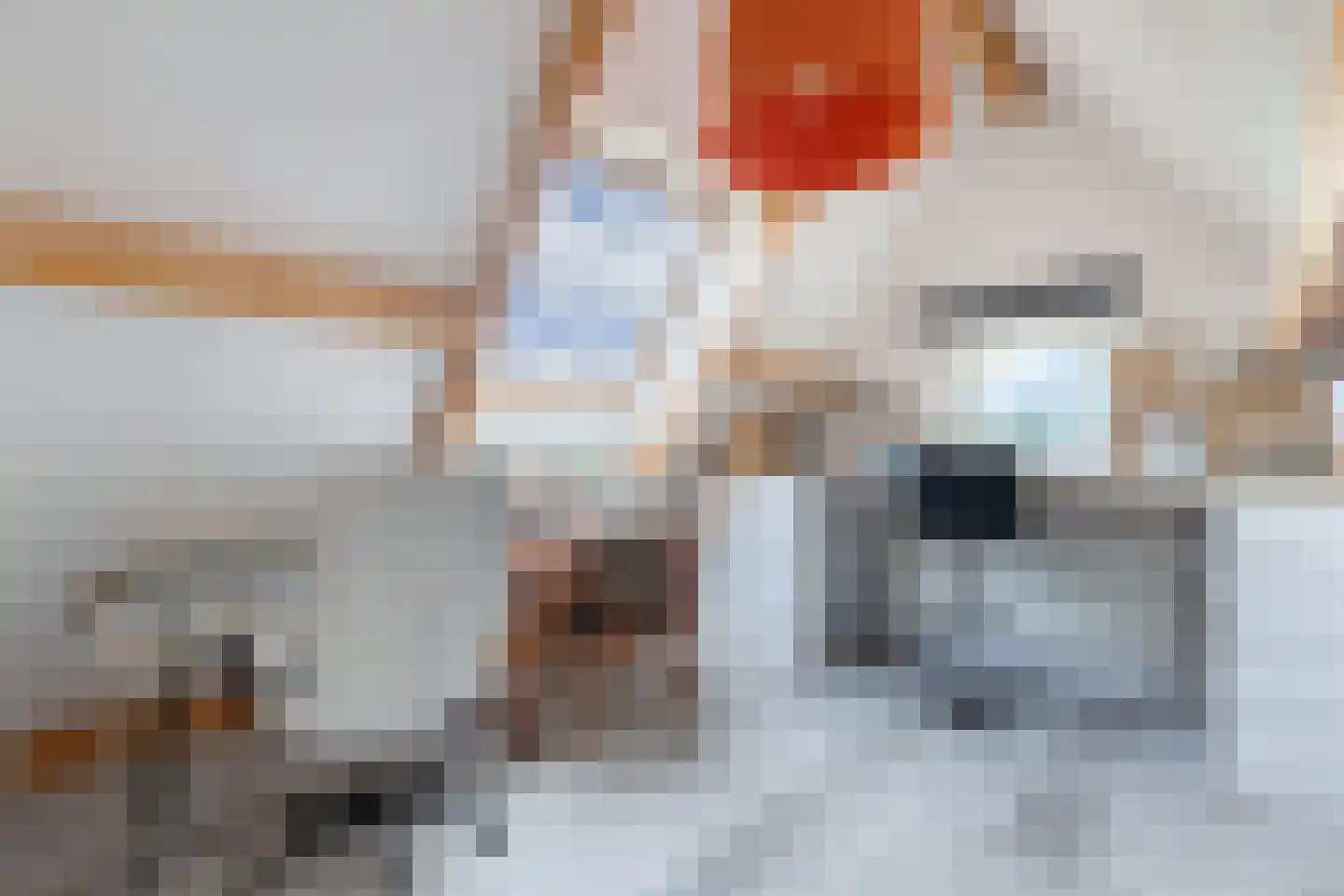 Melisse 29 Rutten thumbnail 48