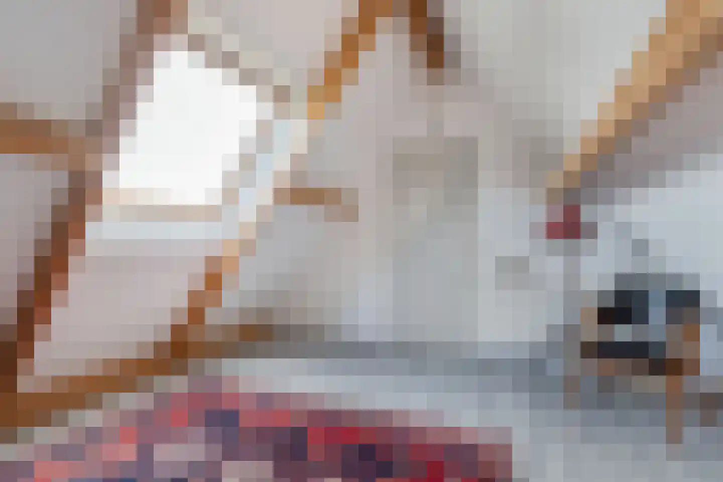 Melisse 29 Rutten thumbnail 50