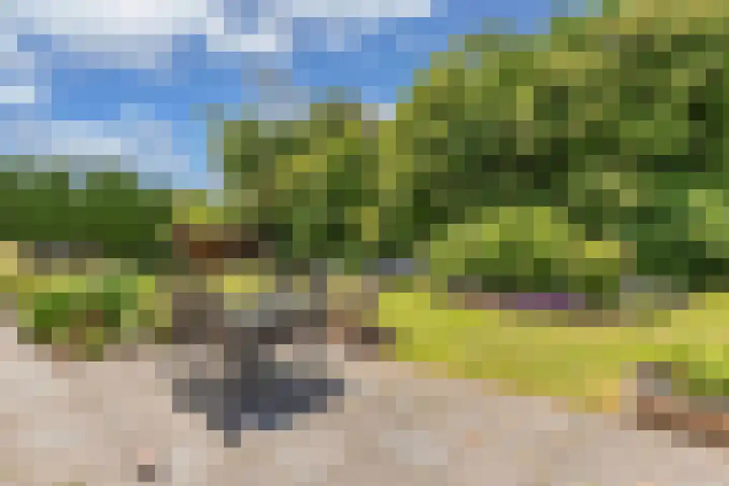 Melisse 29 Rutten thumbnail 53