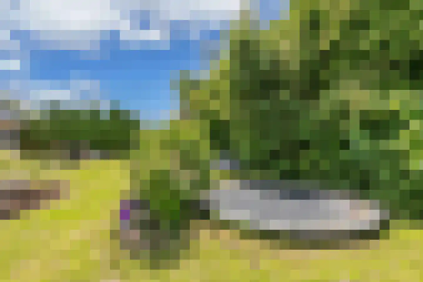 Melisse 29 Rutten thumbnail 54