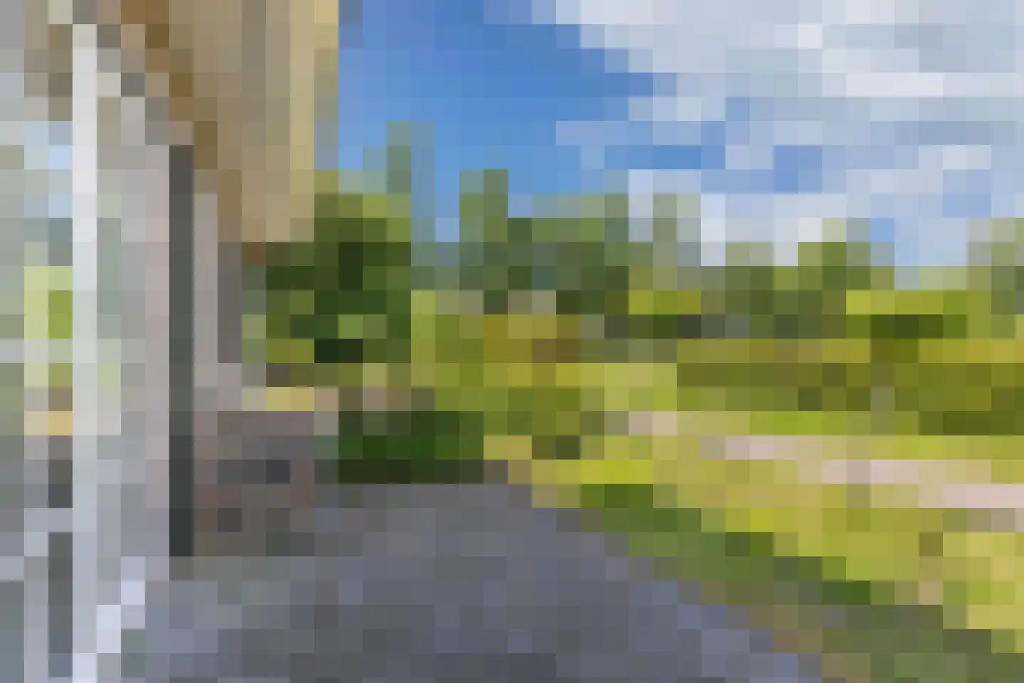 Melisse 29 Rutten thumbnail 59