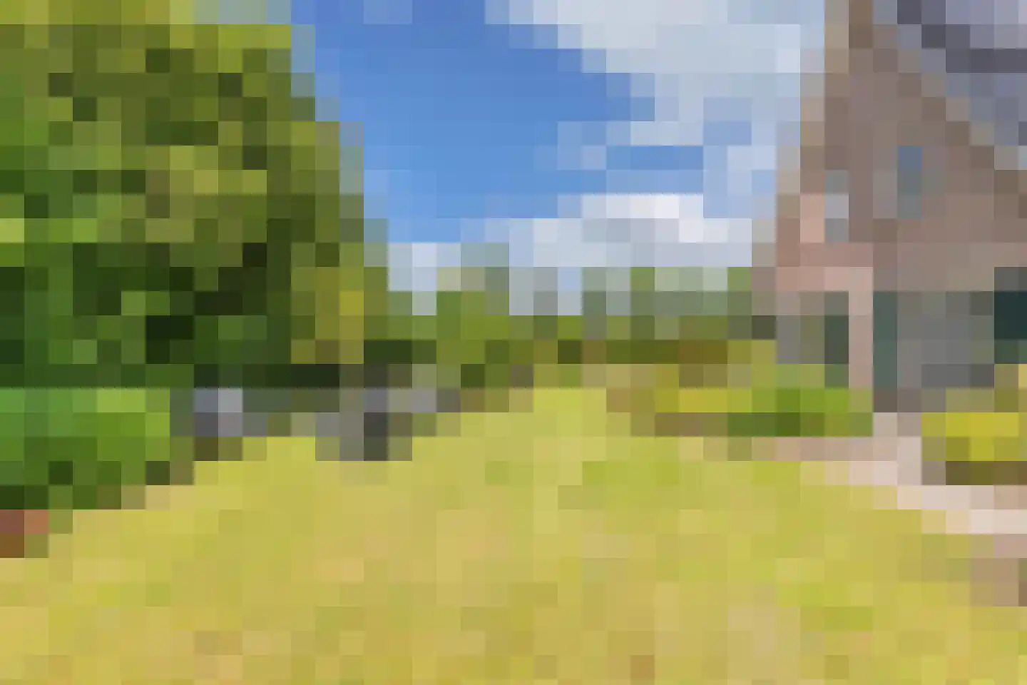 Melisse 29 Rutten thumbnail 60