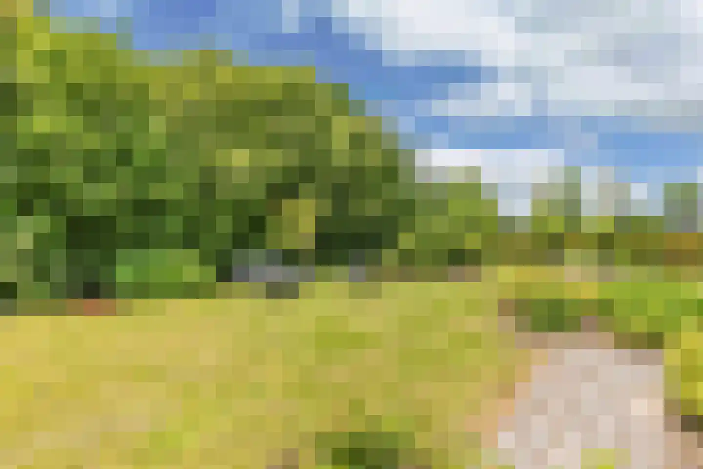 Melisse 29 Rutten thumbnail 61