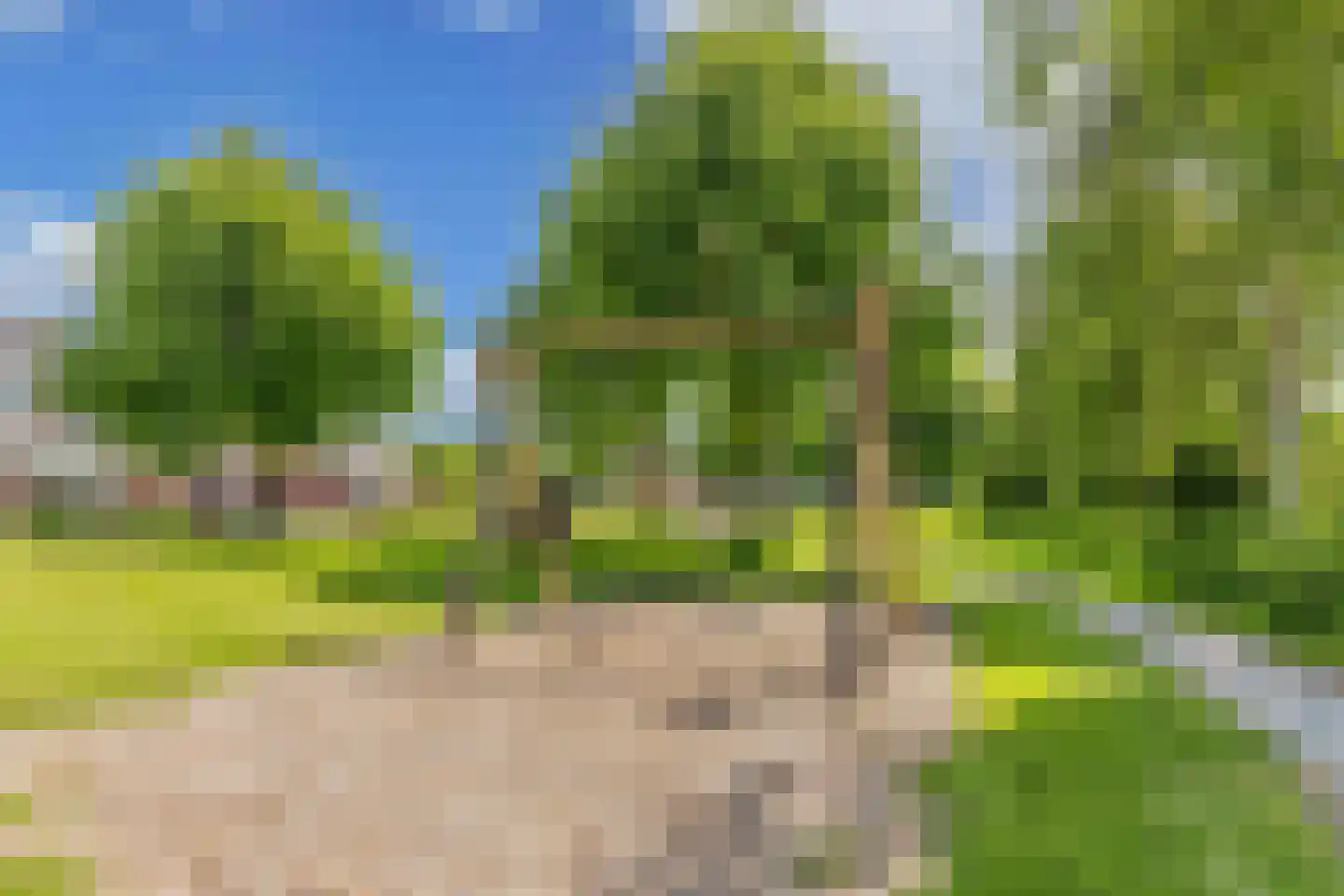 Melisse 29 Rutten thumbnail 62