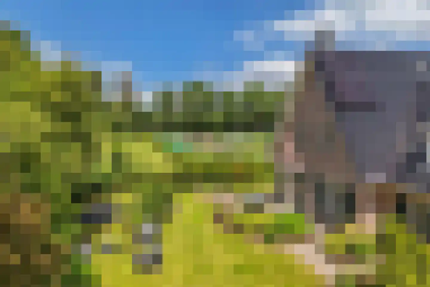 Melisse 29 Rutten thumbnail 64
