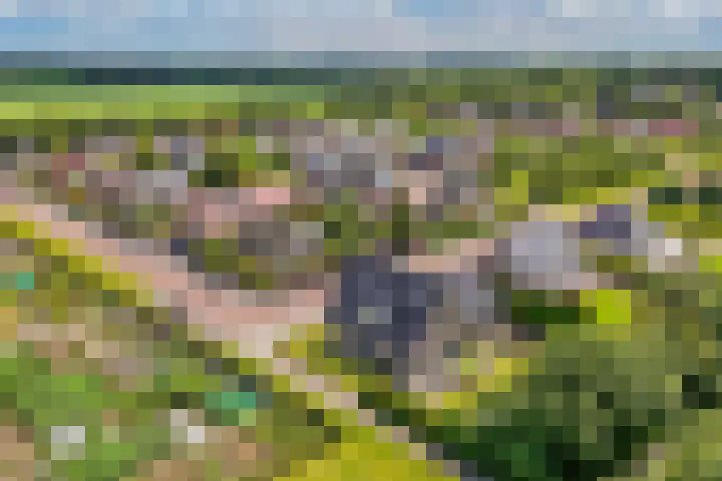 Melisse 29 Rutten thumbnail 65