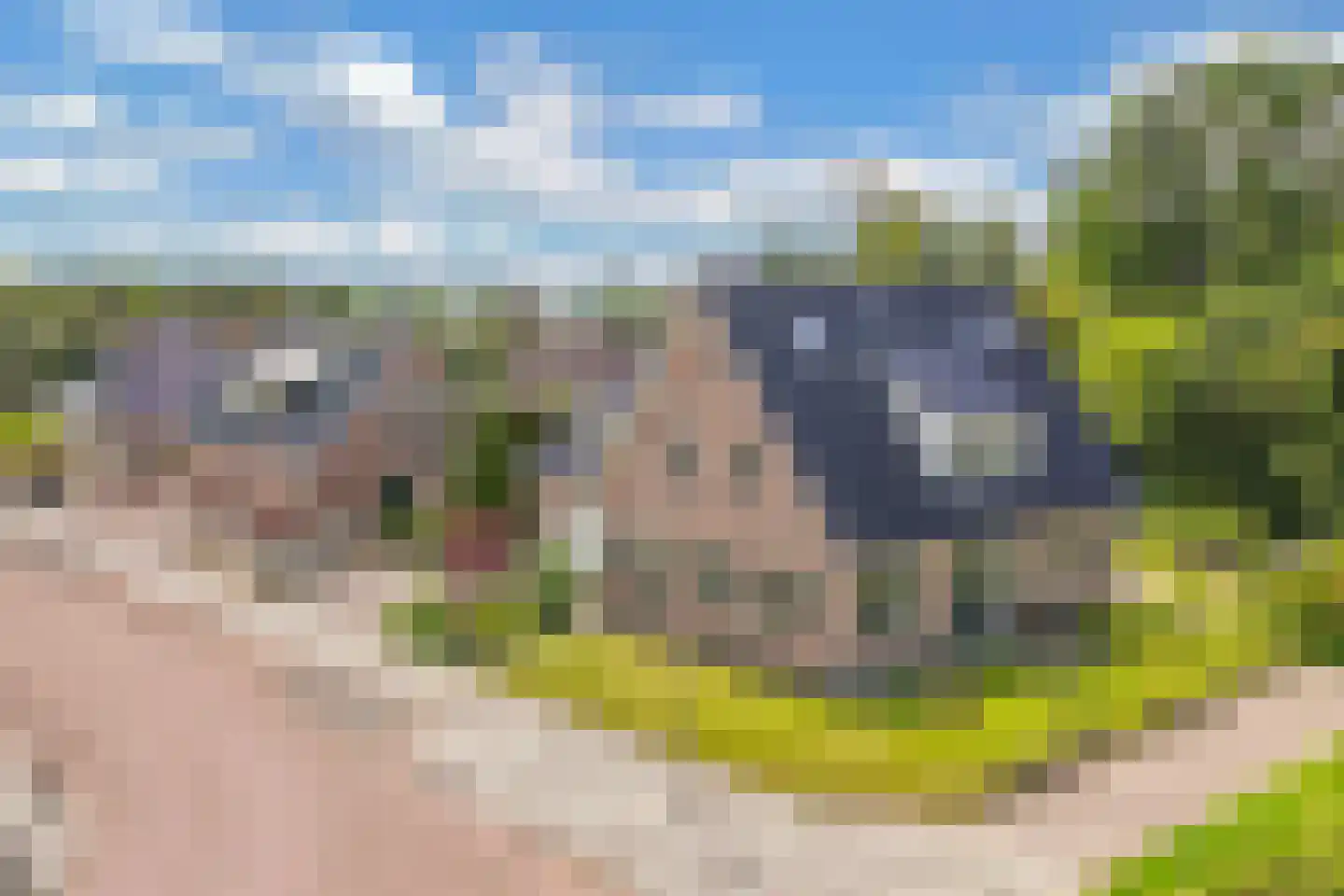 Melisse 29 Rutten thumbnail 7