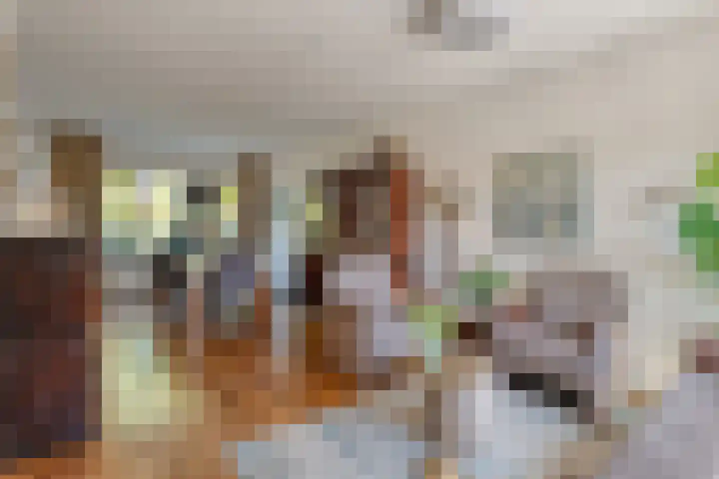 Melisse 34 Raalte thumbnail 19