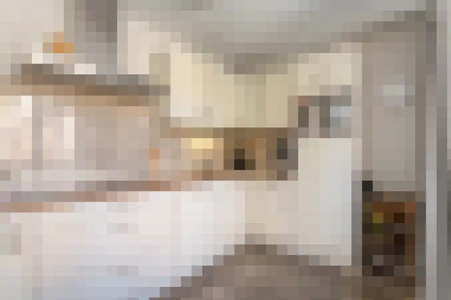 Melisse 34 Raalte thumbnail 24