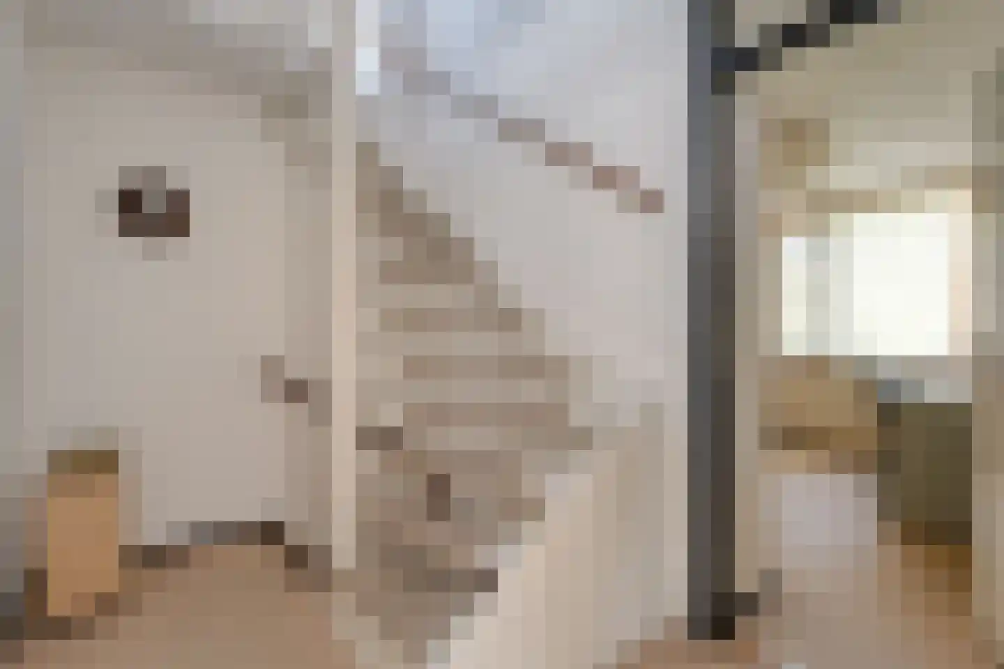 Melisse 34 Raalte thumbnail 27