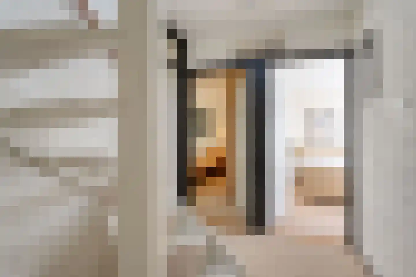 Melisse 34 Raalte thumbnail 28
