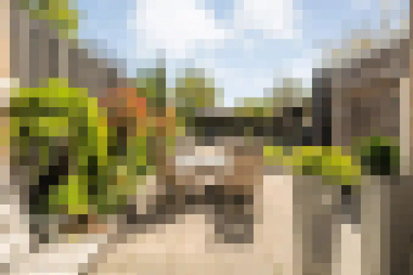 Melisse 34 Raalte thumbnail 43