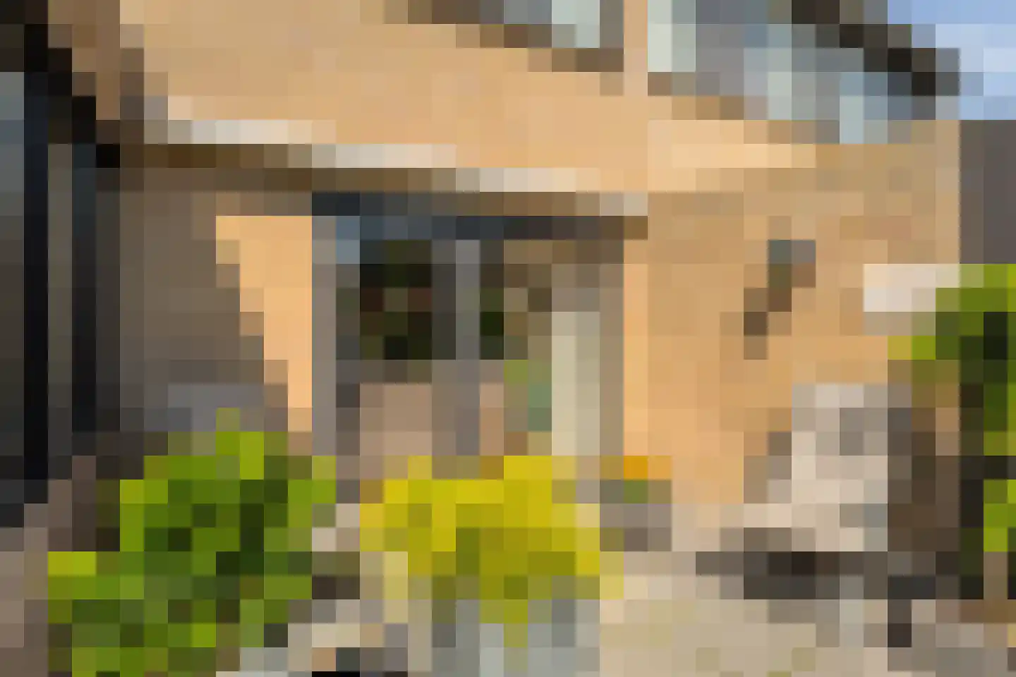 Melisse 34 Raalte thumbnail 44