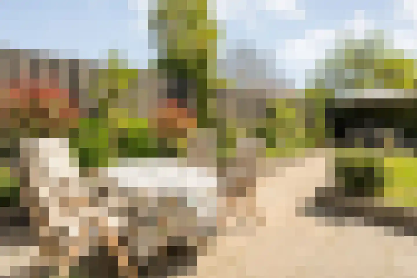 Melisse 34 Raalte thumbnail 45