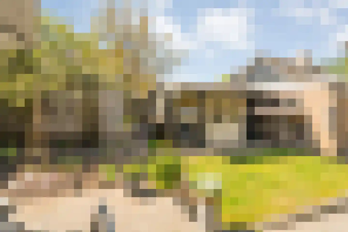 Melisse 34 Raalte thumbnail 49
