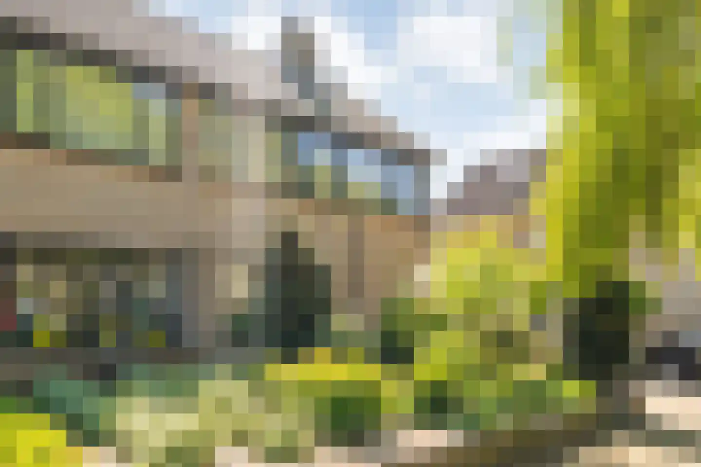 Melisse 34 Raalte thumbnail 5