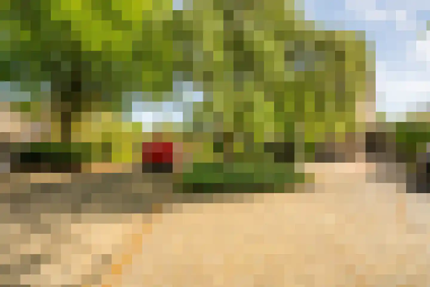 Melisse 34 Raalte thumbnail 50