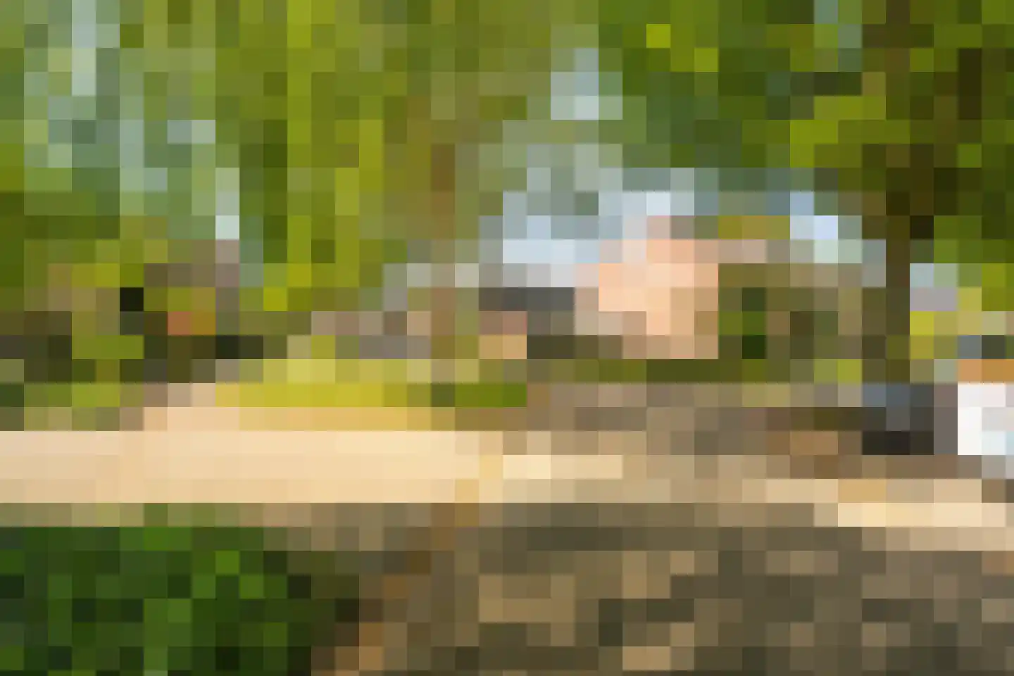 Melisse 34 Raalte thumbnail 51