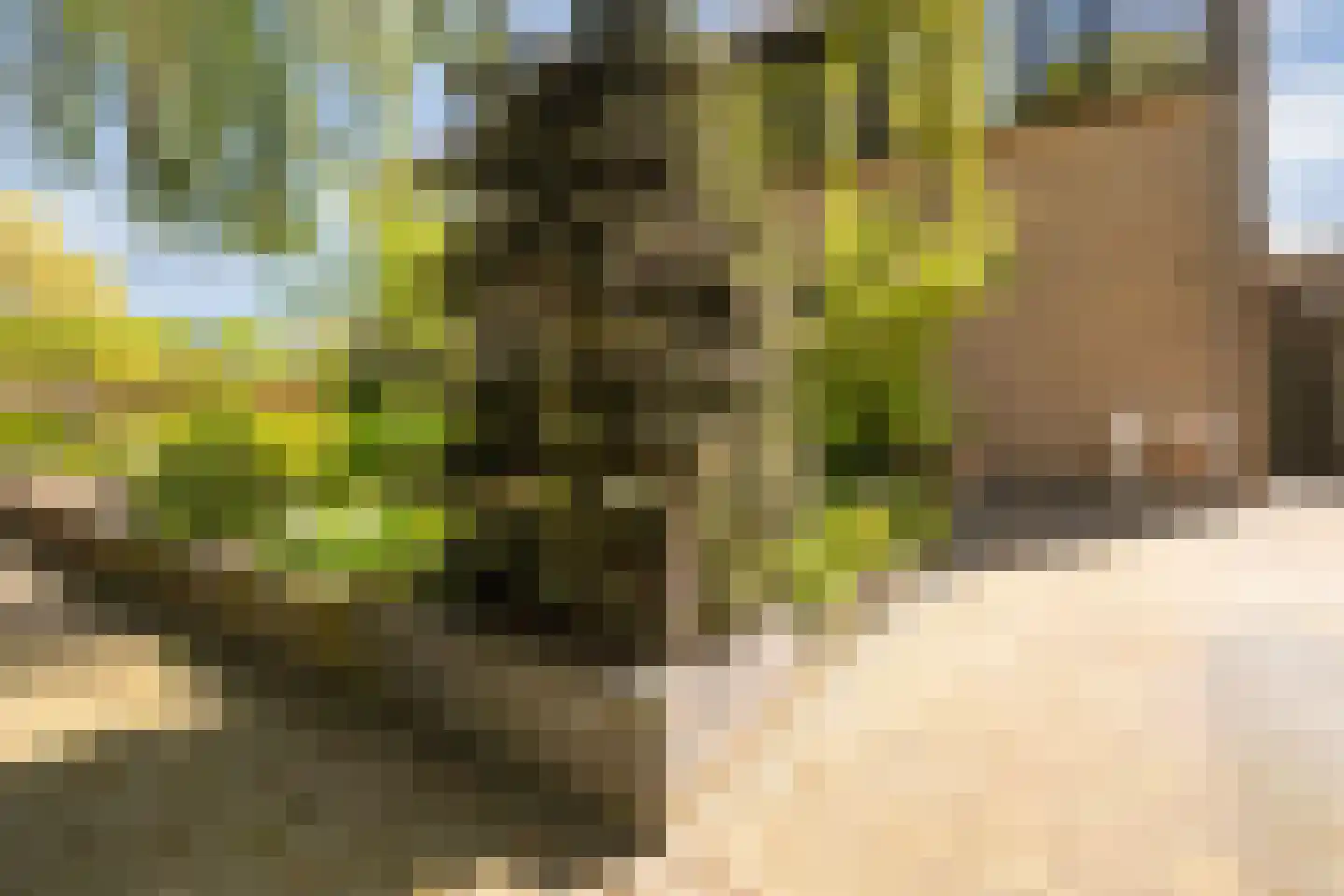 Melisse 34 Raalte thumbnail 52