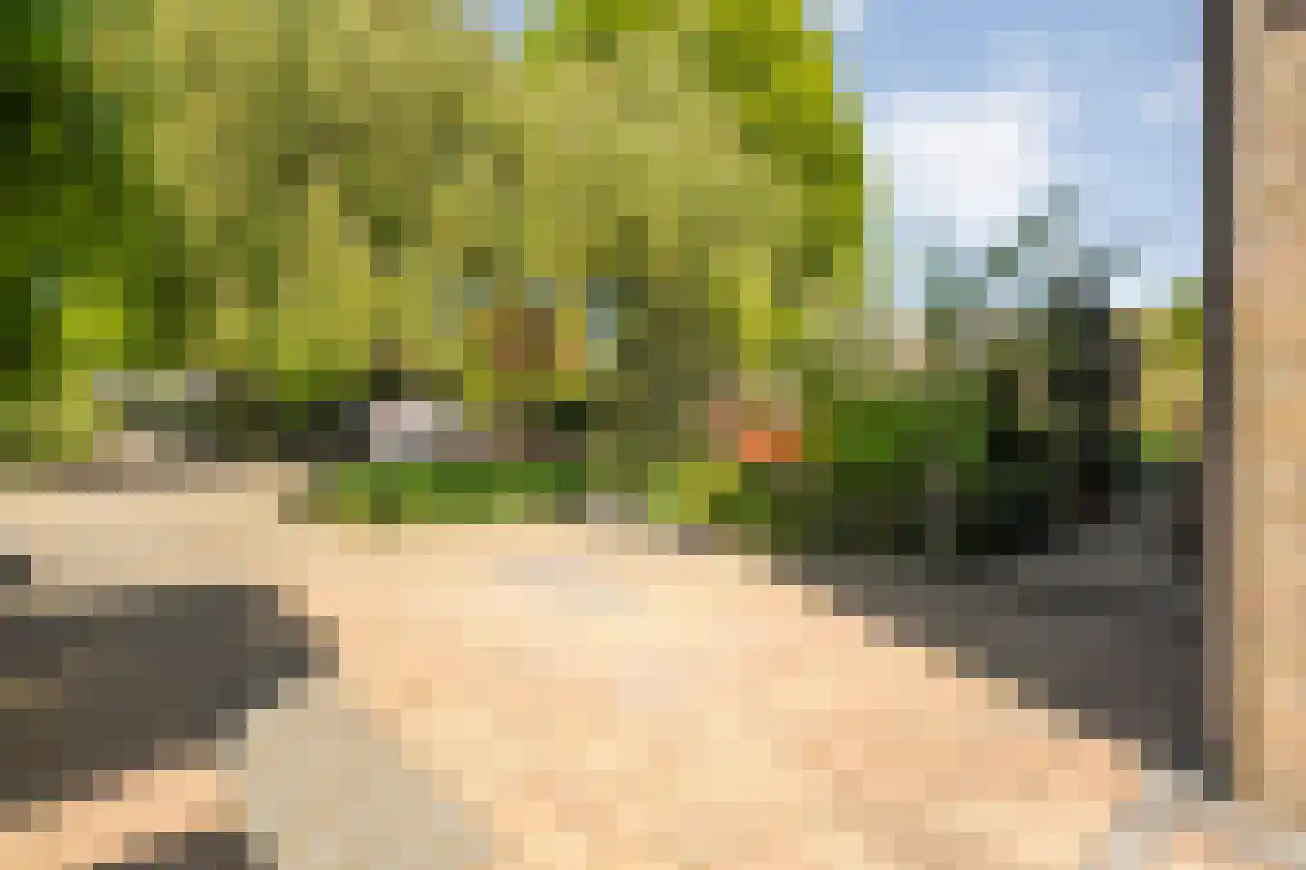 Melisse 34 Raalte thumbnail 53