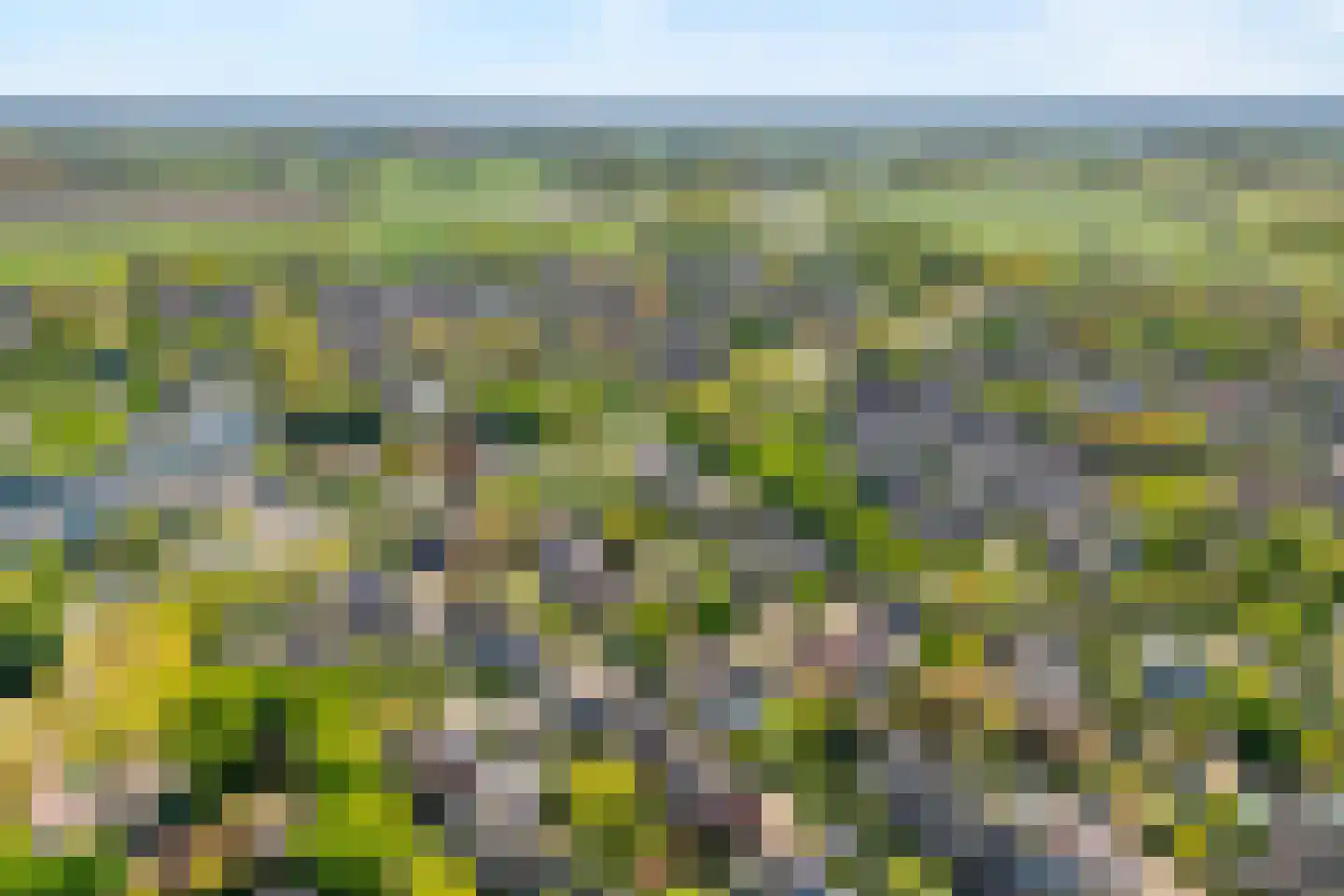 Melisse 34 Raalte thumbnail 54