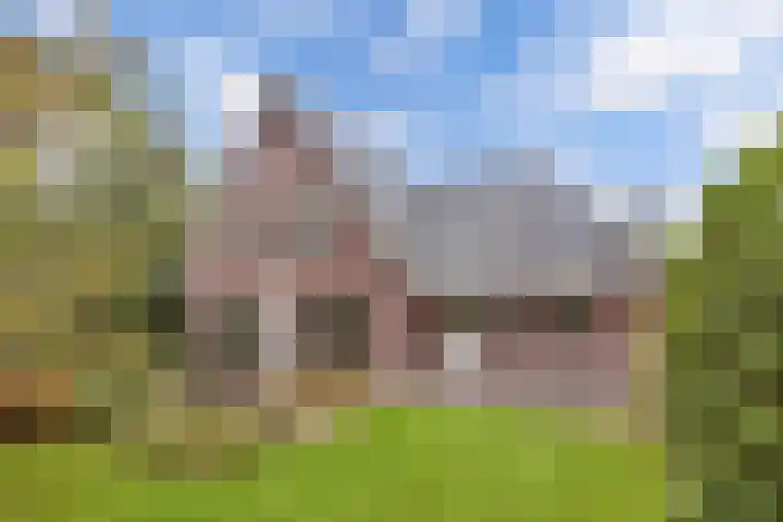 Melisse 35 Rutten